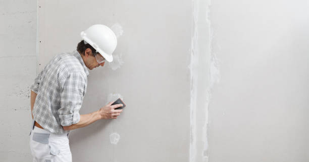 Best Drywall Texturing  in Sheridan, CA