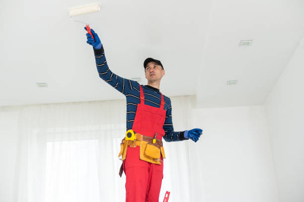 Best Drywall Patching  in Sheridan, CA